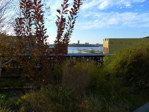 NYC_2012-11-21 15-08-51_P1070434